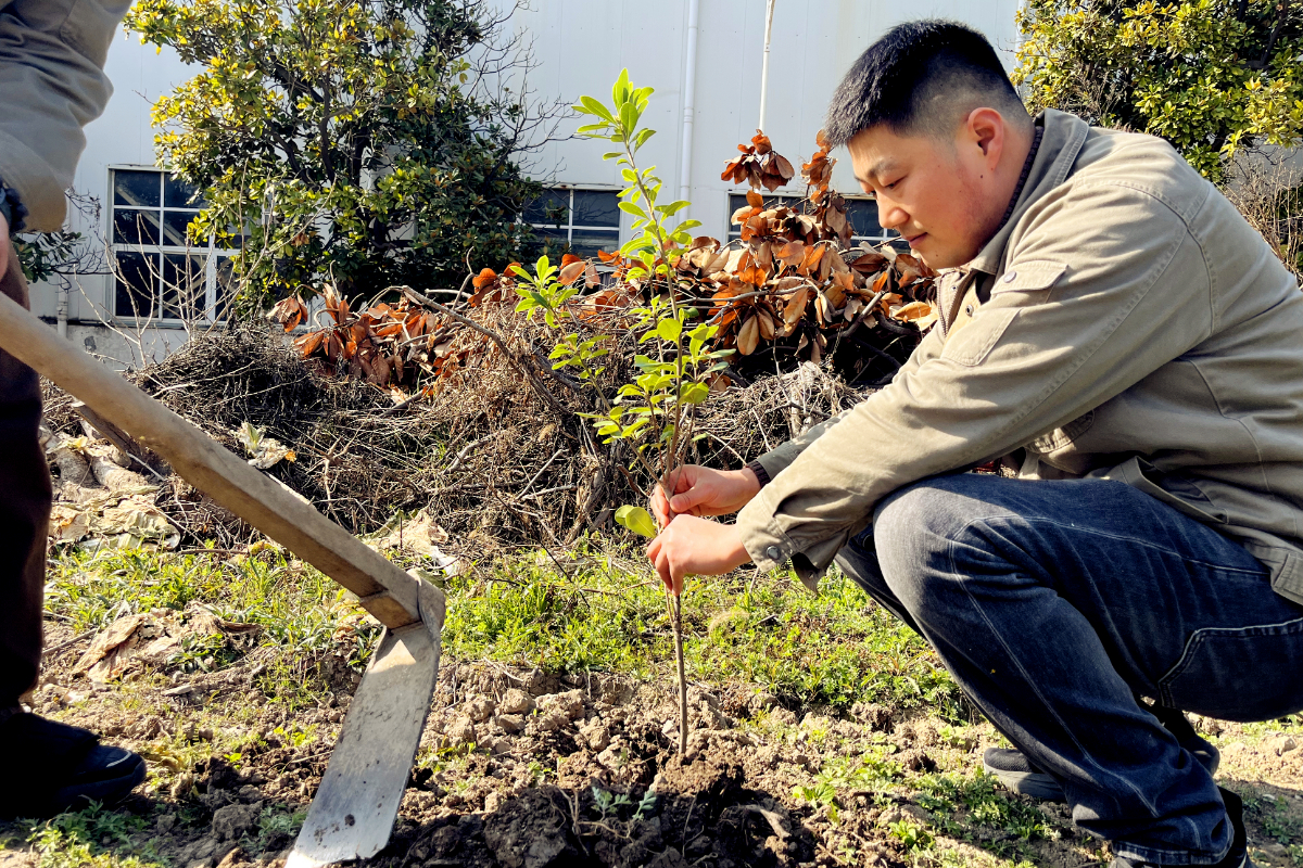 2026.03.13 植树4.png 2026.03.13 植树4.png