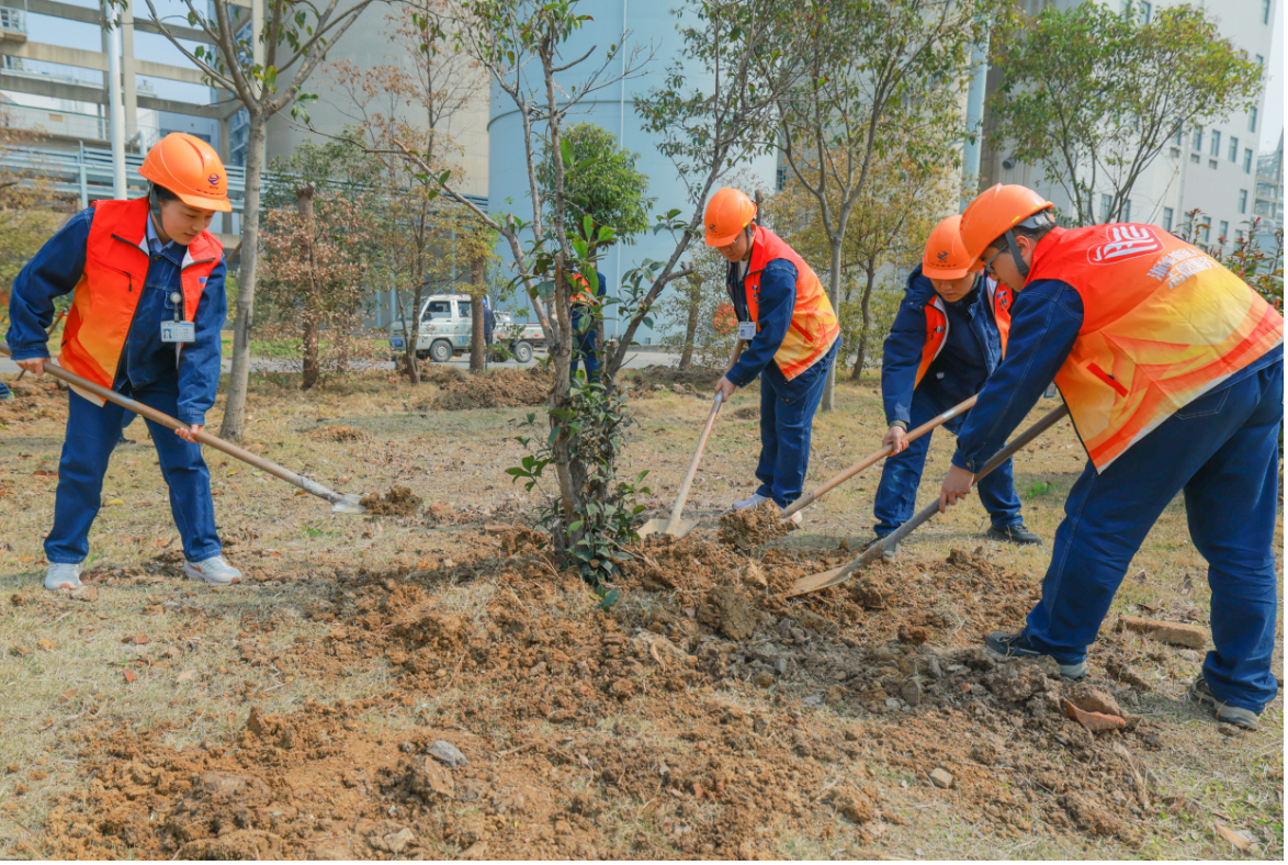 2026.03.13 植树3.png 2026.03.13 植树3.png